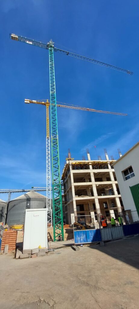GRUE À TOUR MAROC