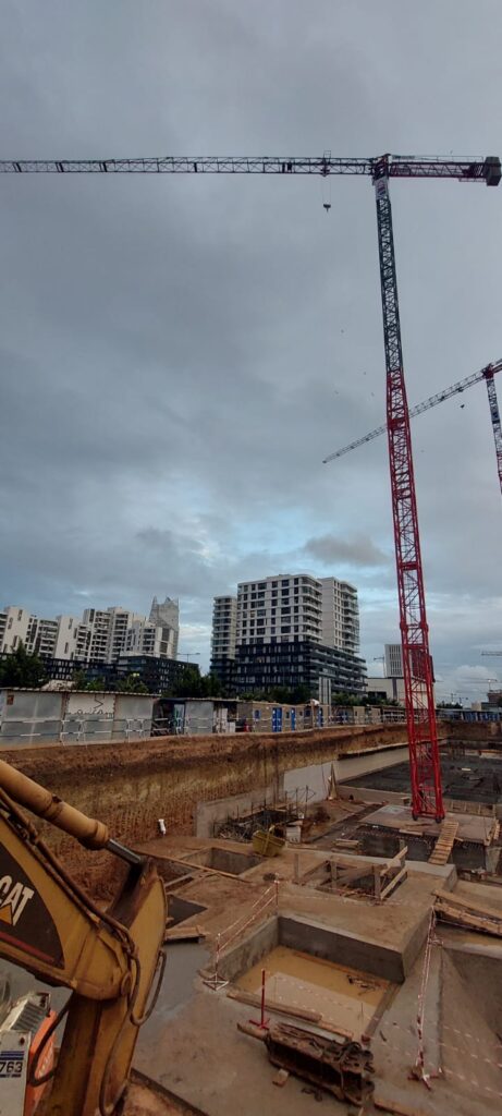 GRUE À TOUR MAROC