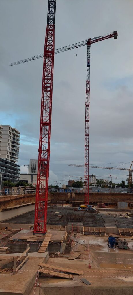 GRUE À TOUR MAROC