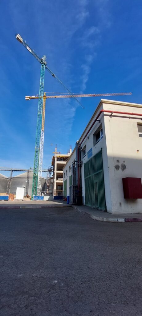 GRUE À TOUR MAROC